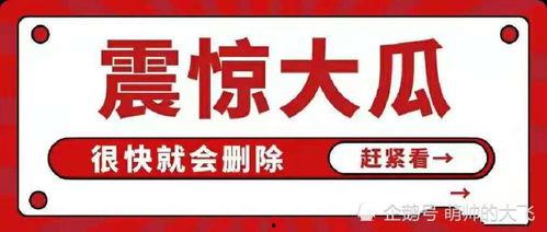 娱乐圈吃瓜合集视频网,吃瓜合集视频网热门事件大盘点