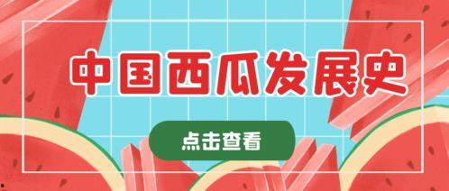 吃瓜墙娱乐文案,吃瓜墙上的那些秘密与真相