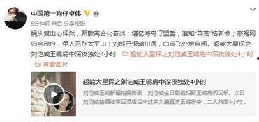 娱乐圈吃瓜爆料刘恺威,揭秘背后的真相与传闻