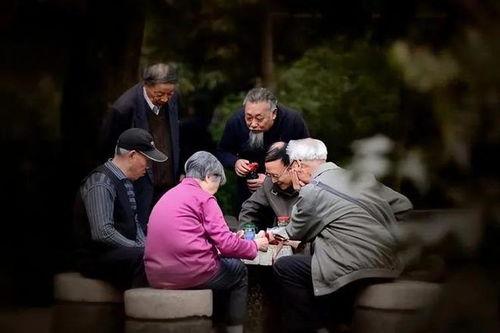 娱乐吃瓜酱老人淋雨,娱乐吃瓜酱老人淋雨引发网友热议