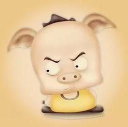 吃瓜猪娱乐,揭秘娱乐圈幕后故事，带你领略明星们的真实生活