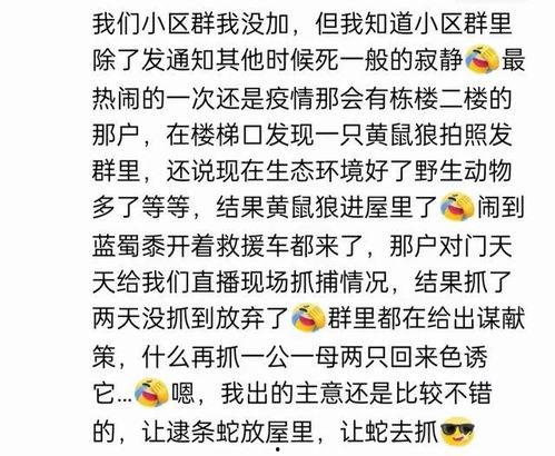 娱乐吃瓜酱名言大全集,笑料百出，智慧闪耀