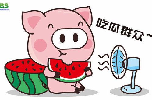豚豚娱乐吃瓜小八卦,揭秘娱乐圈吃瓜小八卦背后的真相