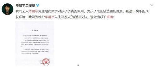 吃瓜作文娱乐圈,吃瓜群众眼中的繁华与喧嚣