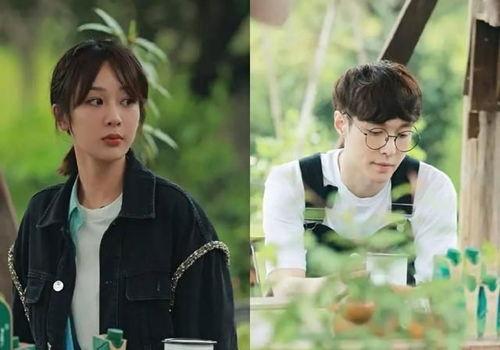 吃瓜娱乐圈博主,揭秘明星幕后故事