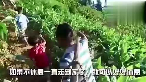 情人节娱乐吃瓜视频,明星情侣甜蜜瞬间大揭秘