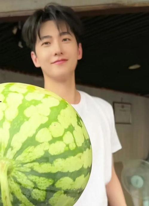 吃瓜娱乐圈图画大全高清,高清全景解析吃瓜图鉴