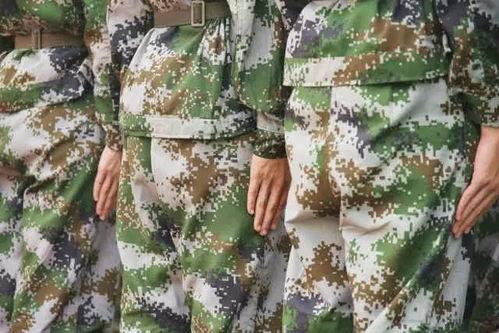 娱乐吃瓜军,吃瓜军背后的故事与真相