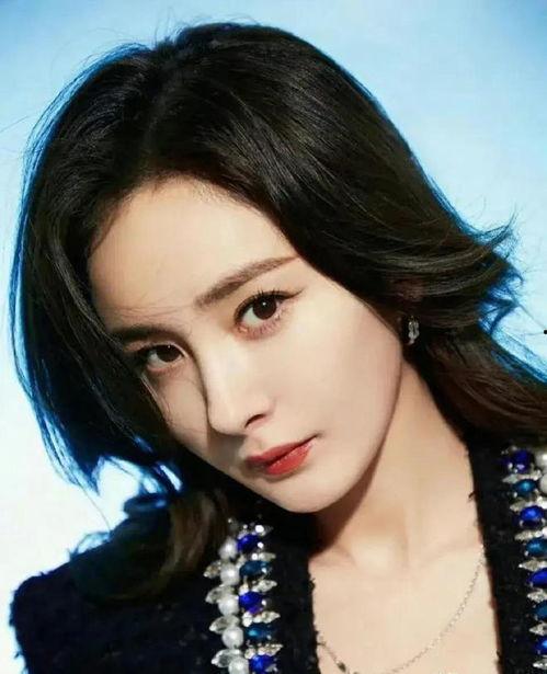 娱乐圈明星吃瓜介绍,揭秘明星背后的故事与真相