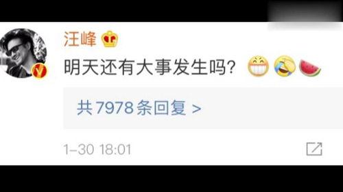 娱乐圈吃瓜帖子是什么,揭秘明星背后的故事