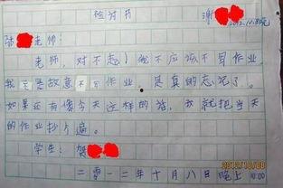 娱乐吃瓜酱检讨书